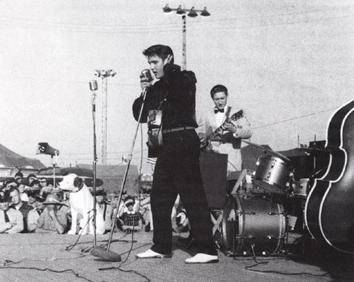 crosstown_traffic_elvis_presley_nipper crosstown_traffic_elvis_presley_nipper